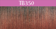 Color Type TB350.jpg